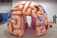 Выставки конференций раздувного шатра мозга модельного раздувные медицинские - мега мозг