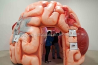 Выставки конференций раздувного шатра мозга модельного раздувные медицинские - мега мозг