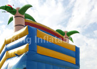 водные горки детей пальмы радуги 8*4м с мультфильмом печатая в аренду/раздувным намочили скольжение