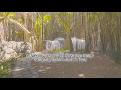 Надувная гостиничная палатка Bubble House