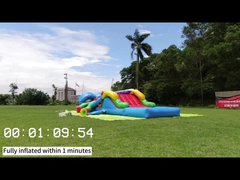 Кинг31 Сианцин