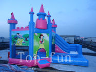 Малыши крытые или напольный дом Princess Коммерчески Inflatables Оживлённый Замка для найма