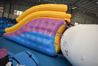 Среднего размера раздувной брезент 6m PVC игрушки 0.9mm воды единорога слайдера